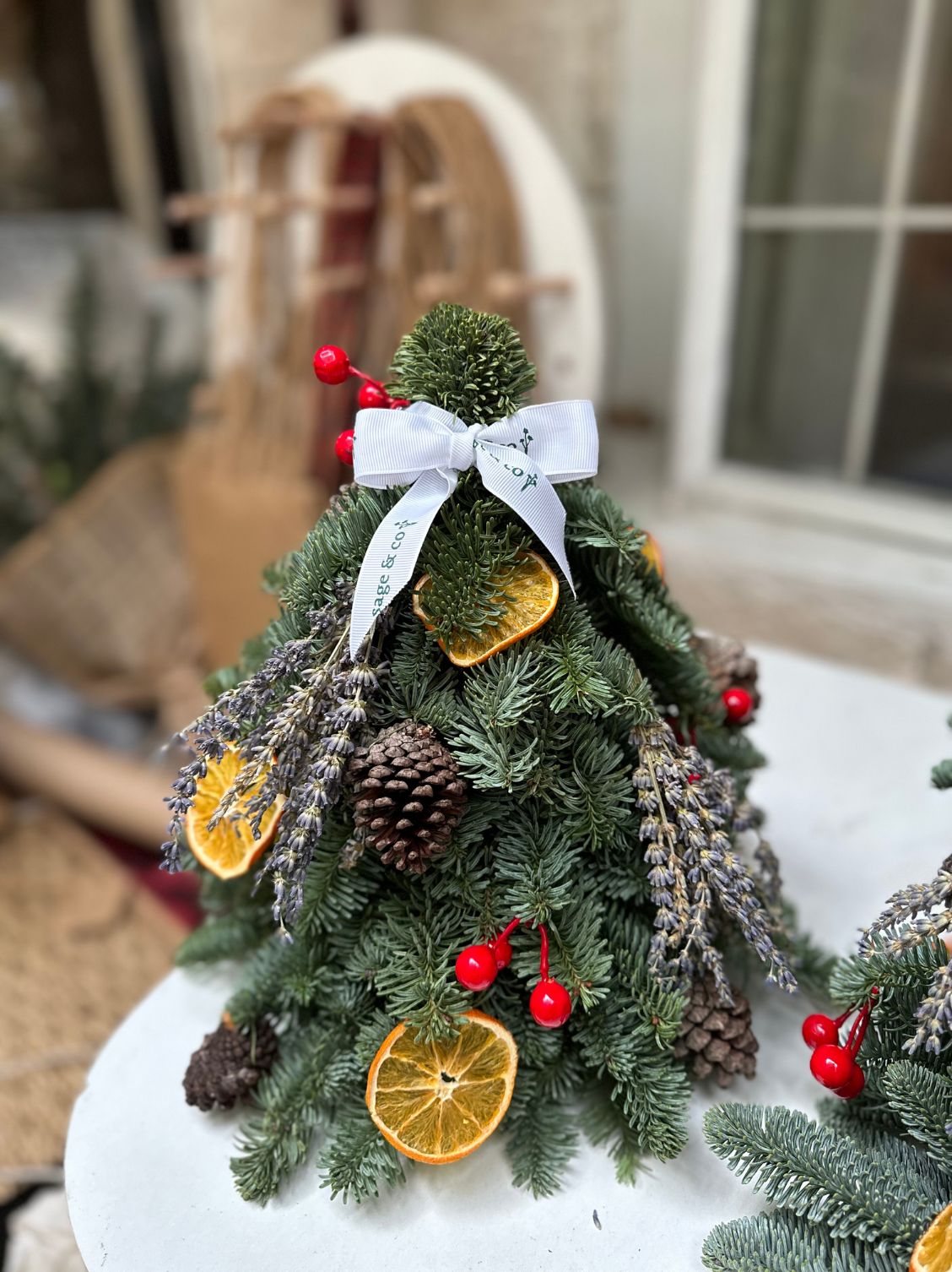 Nobilis Pine Tree