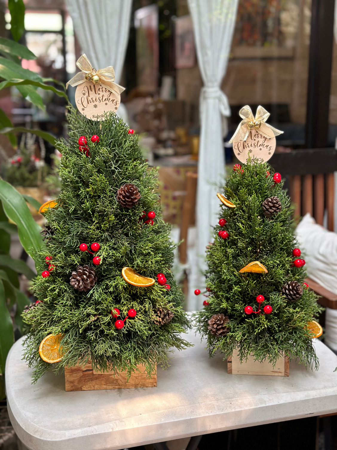 Classic Pine Tree