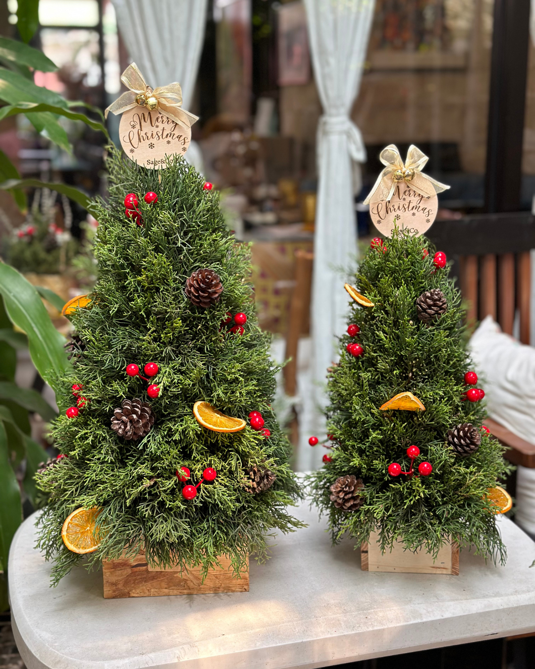 Classic Pine Tree